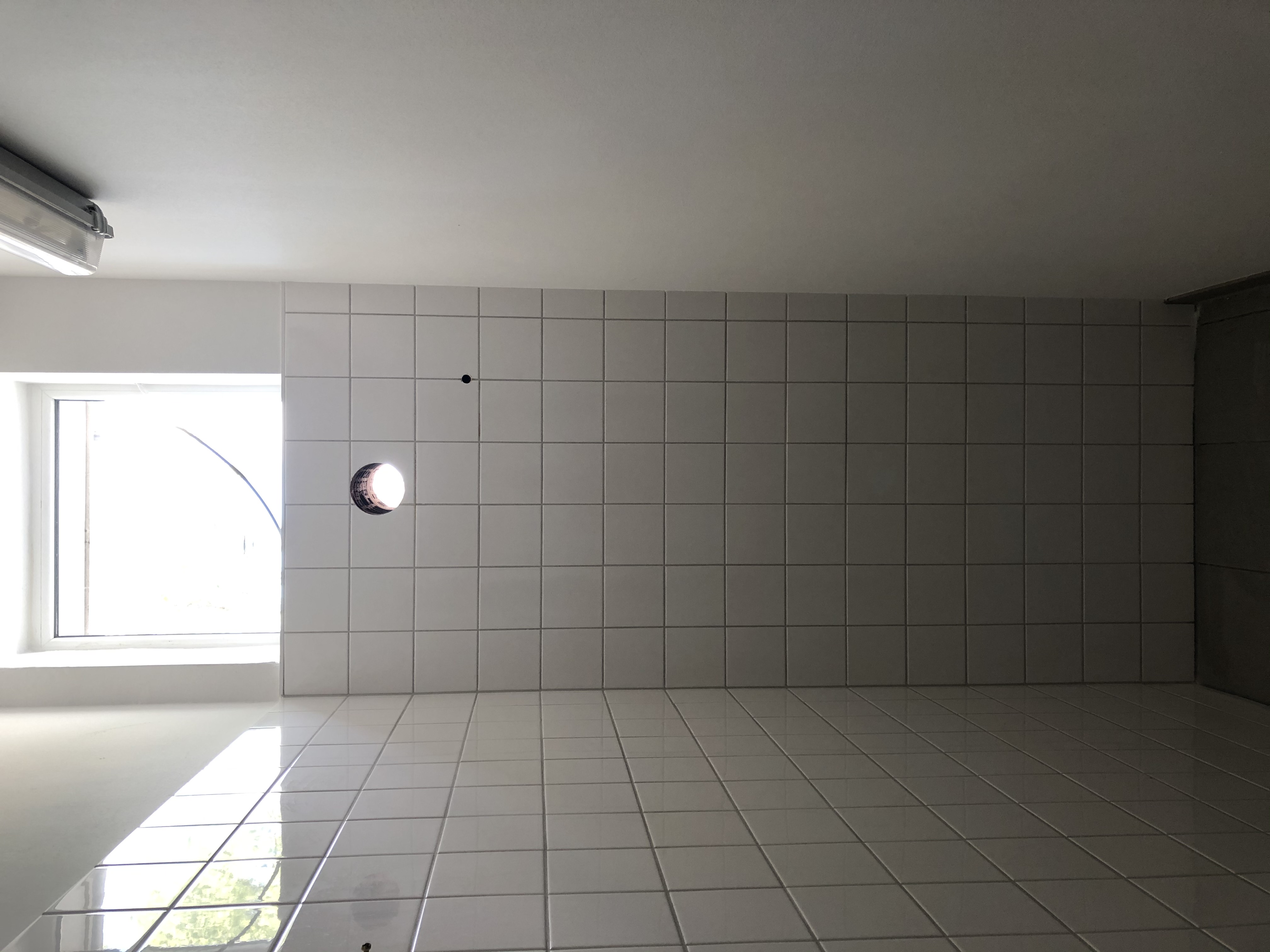 Projekt Bild
