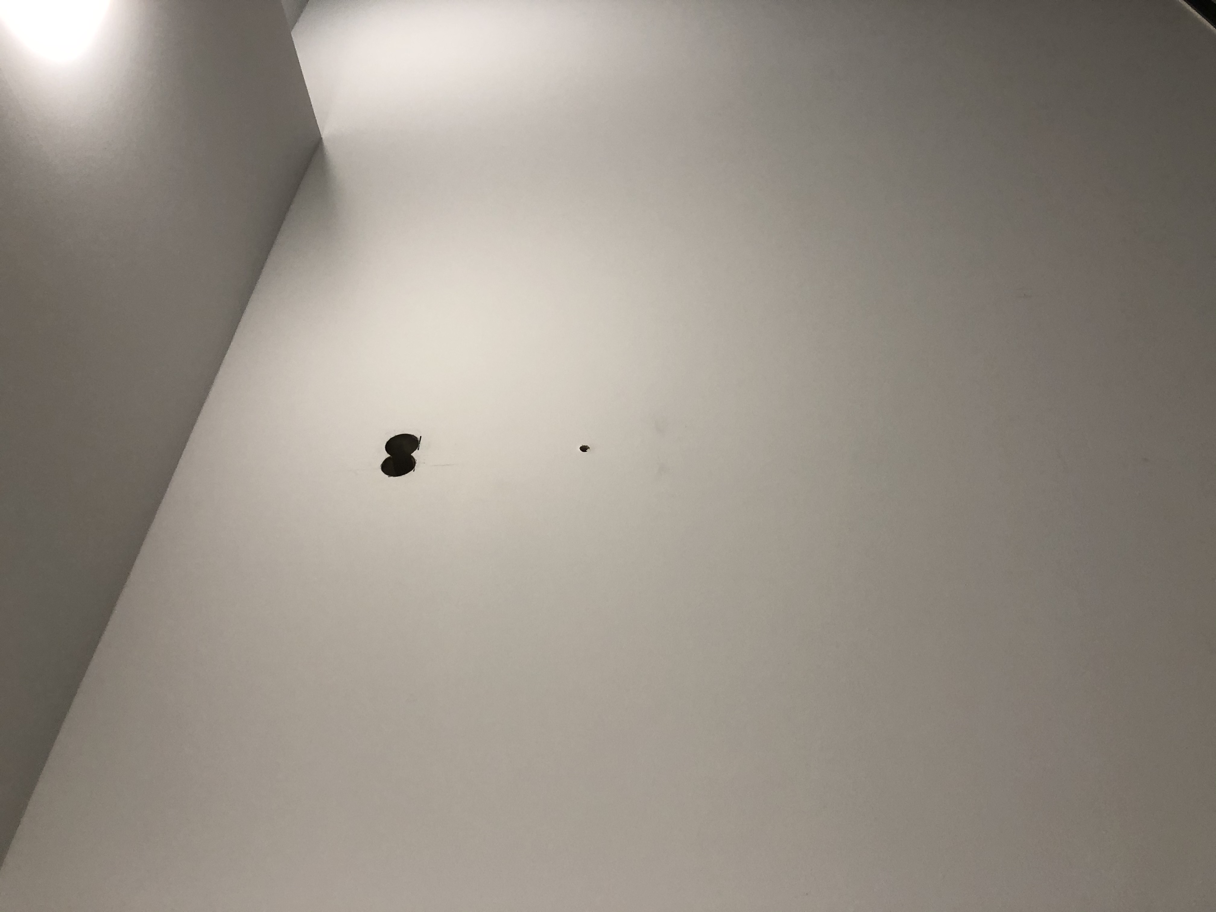 Projekt Bild